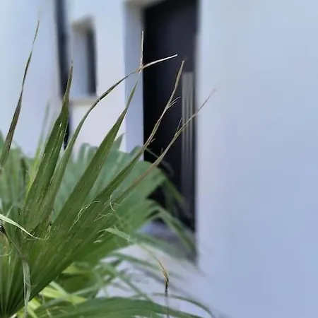 Maison Moderne Et Lumineuse A 5 Minutes A Pied Des Plages Prázdninový dům Landunvez